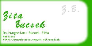 zita bucsek business card